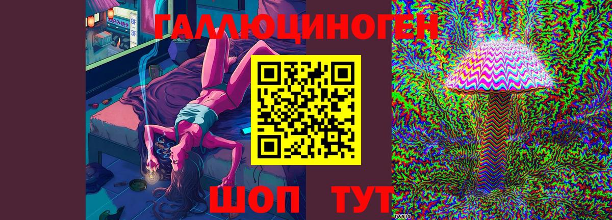 Галлюциногенные грибы GOLDEN TEACHER  Галлюциногенные грибы Cubensis  Королёв  Вход с VPN 